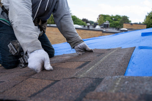 Professional Roofing Contractor in Randolph, WI