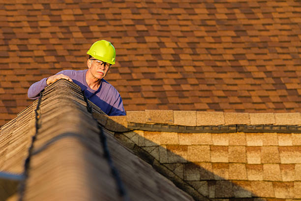 Best Roof Leak Repair  in Randolph, WI