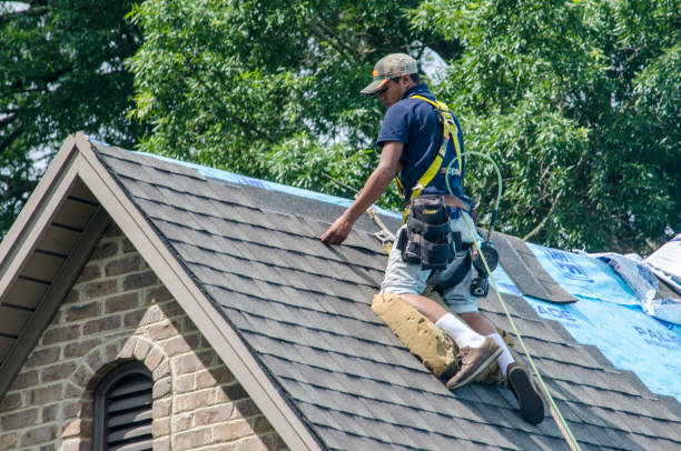 Best Shingle Roofing Installation  in Randolph, WI